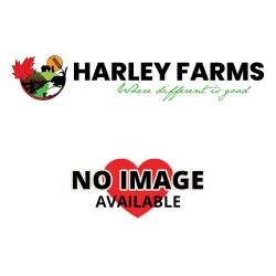 Pork Sausage - Tomato and Oregano - Organic Principled